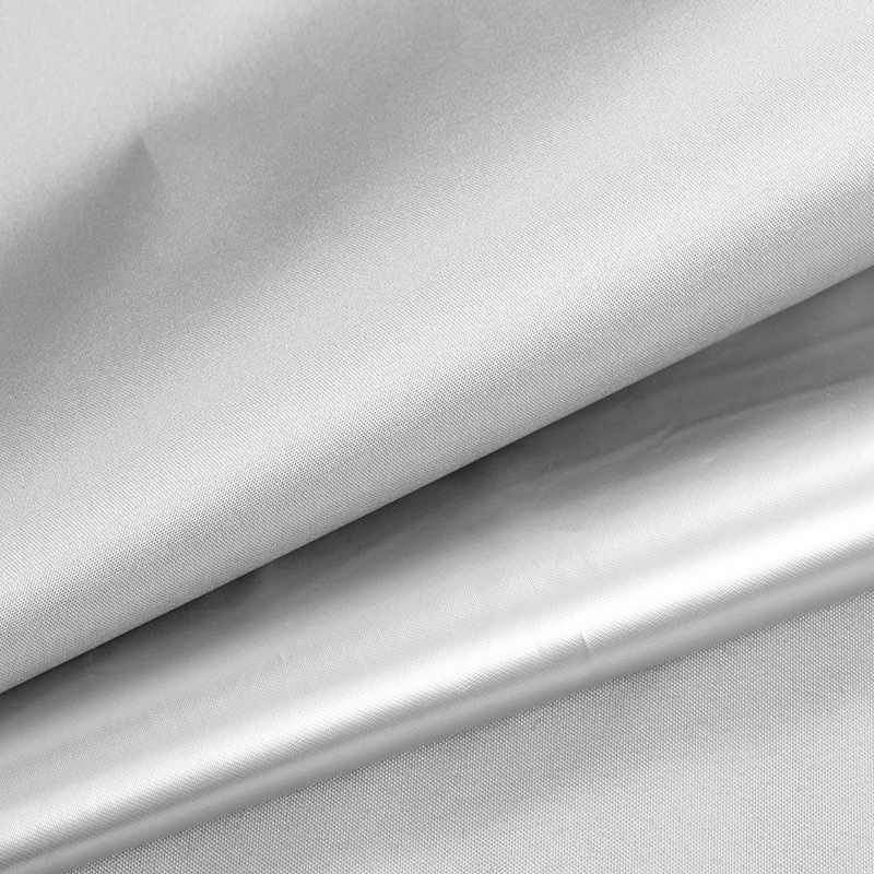 Culoarea tafta cu acoperire argintie-07